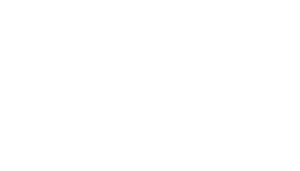 Radix, validator, stake xrd, xrd validator, where to stake radix, where to stake xrd, how to stake radix, how to stake xrd, xrd validator, radix staking apy