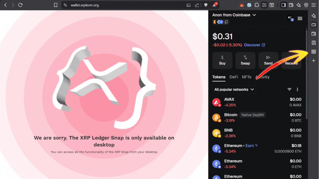 xrp-balance-on-xrpl-evm-in-metamask, xrpl-evm-0x-address-funded-with-xrp, xrp-on-xrpl-evm-for-defi-and-staking